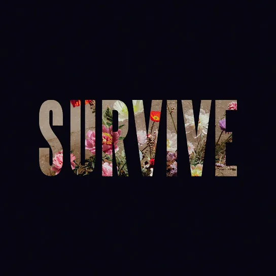 Lewis Capaldi  Stay Love Mp3 Download