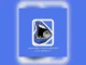 LVCTORZM V  ID Mp3 Download