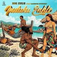 Big Zulu Ft. Cassper Nyovest  Induku Enhle Mp3 Download