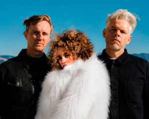 PNAU & Maleigh Zan  Crash Mp3 Download
